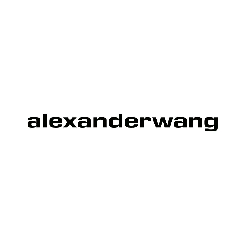 Alexander Wang, Aventura