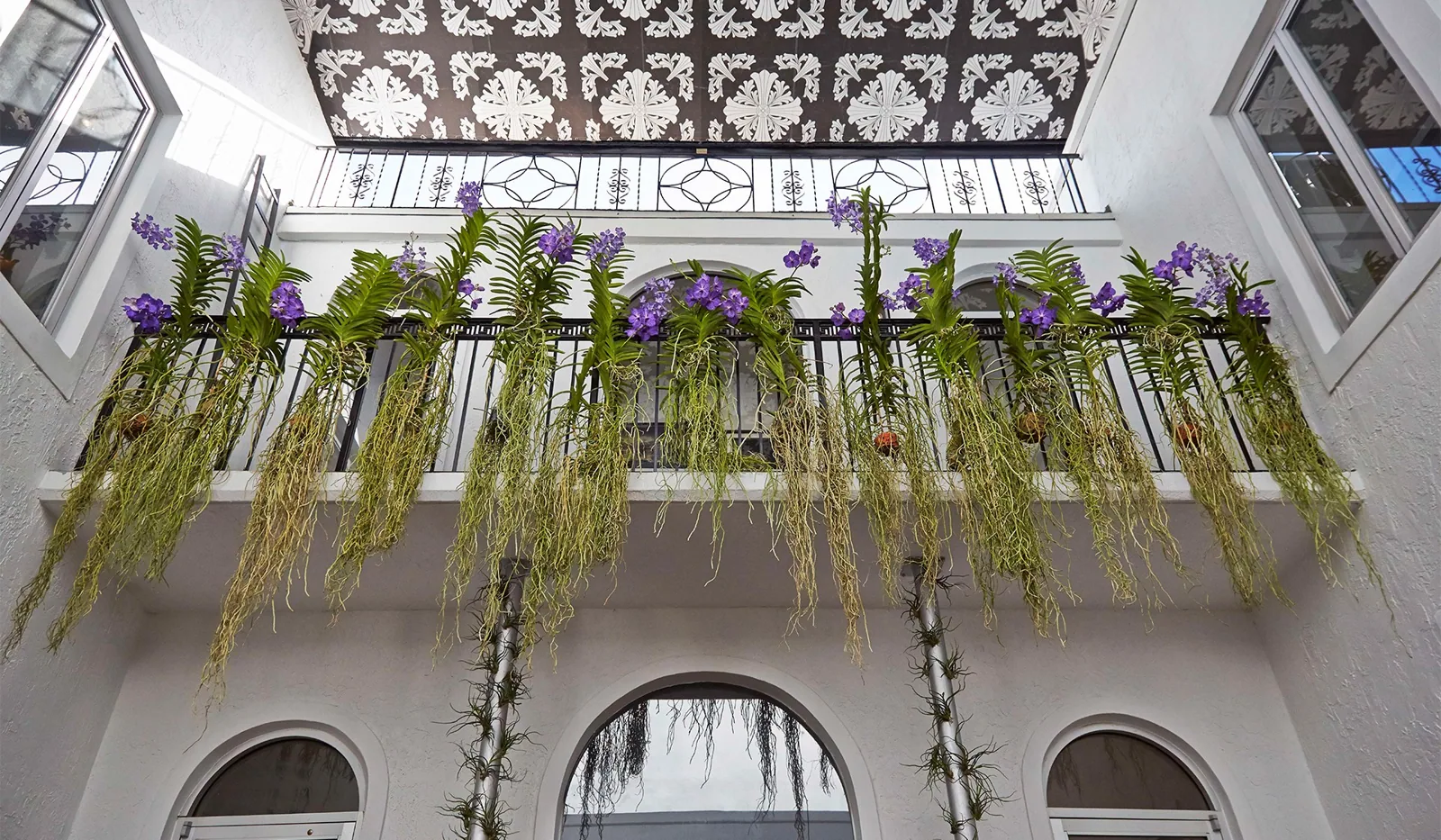 Chrome Hearts, Design District